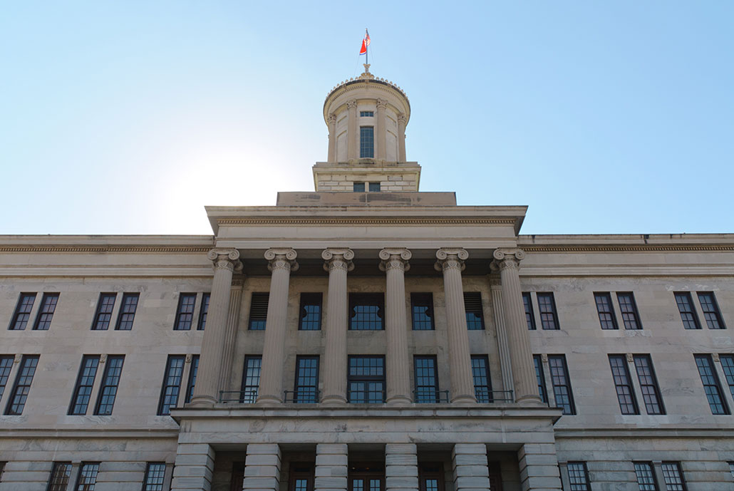 local government